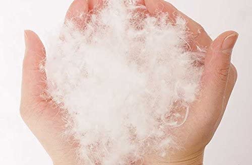 DS Solutions USA Bulk Goose Down Filling (1/4 lb.) – 50/50 100% Natural White Down and Feather – Fill Stuffing Comforters, Pillows, Jackets and More – Ultra-Plush Hungarian Softness