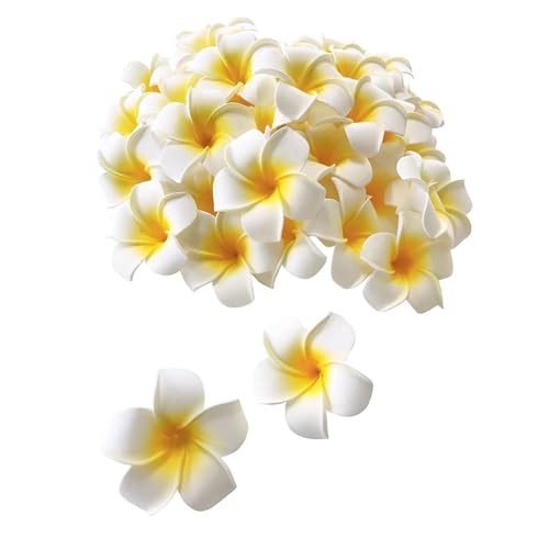 vA  Ԃ̂ nhCh DIYpi  ANZT[  zCg 30