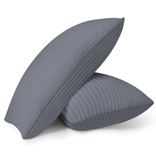 HYLEORY Bed Pillows Queen Size Set of 2 for Sleeping - Luxury Hotel Pillows, Soft & Supportive Down Alternative Microfiber Cooling Pillow for Night Sweats Back/Stomach/Side Sleepers, Grey