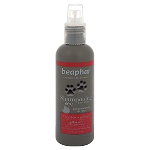 Shampoing Chat Decouvrez Les Meilleurs Shampoings Et Savons