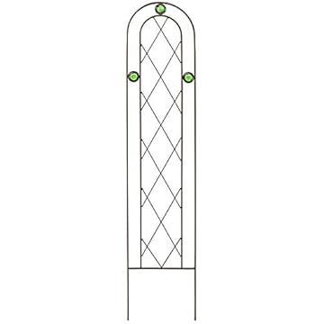 decorative trellis for climbing plants
