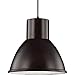 Sea Gull Lighting One Light Pendant
