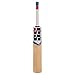 SS Slogger Kashmir Willow Cricket Bat with Bat Cover