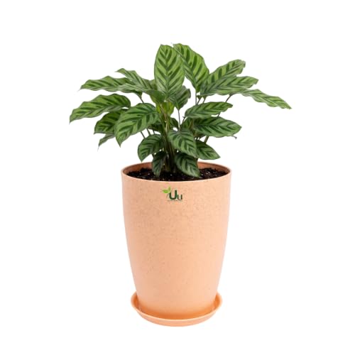 Image of Urban Upvan Beige 14 inch Tower Planter Pot with Tray | Large Indoor Outdoor Decorative Flower Pots for Home, Balcony & Garden (Pack of 1)