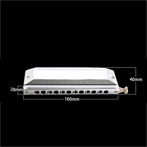 Harmonica 12 Hole 48 Tone Chromatic Harmonica for Children in C Key (Color : Black) (Black) - Les Beatles, Paul McCartney, John Lennon, RIngo Starr, George Harrison Harmonica 12 Hole 48 Tone Chromatic Harmonica for Children in C Key (Color : Black) (Black) – Image 4