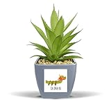 Materiale: vaso e foglie verdi sono realizzati in plastica, questo ananas dal design unico in vaso è un piccolo ornamento ideale