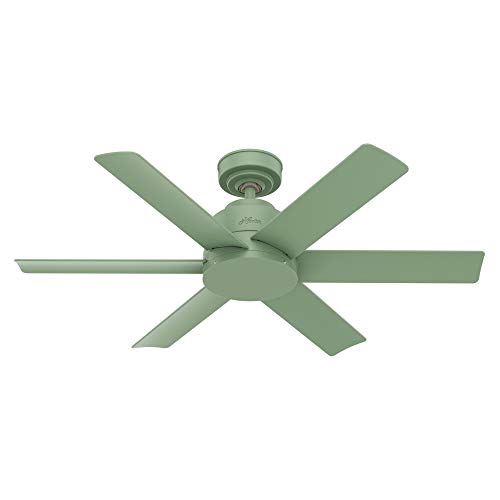 Exclusive Discount 70% Price  Hunter Fan Company 59612 Hunter Kennicott Indoor, Outdoor Ceiling Fan with Wall Control, 44, Dusty Green