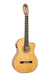 Peavey Delta Woods™ CNS-CE™ Classical Nylon String Guitar with Electronics
