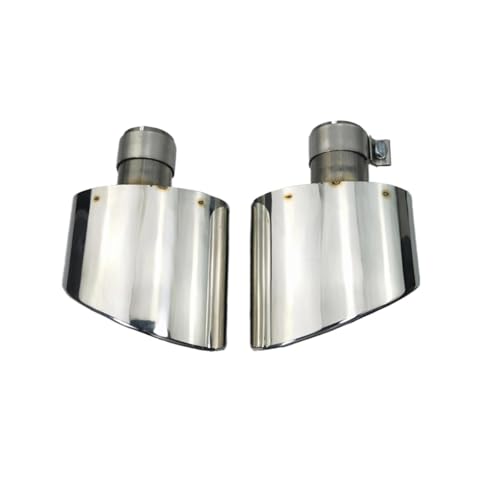 Tuyaux d'échappement ovales argent pour Audi A4 A5 A6 A7