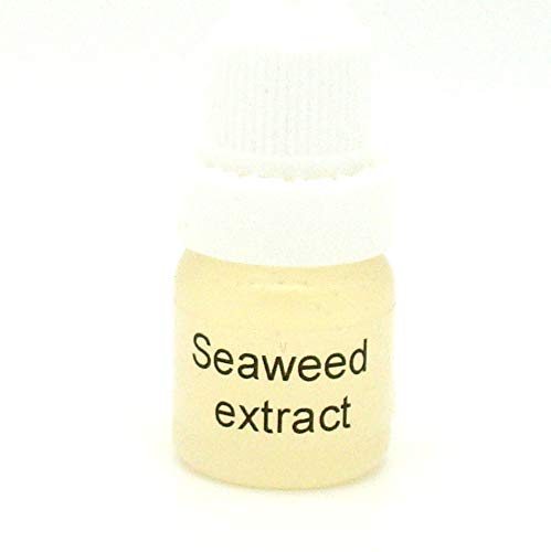 Seaweed Extract - Skin Care, Re-Mineralising & Anti-Aging Treatments (1 Litre), 1 l (Pack of 1)