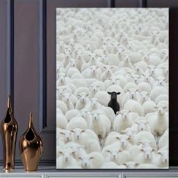 Impression sur toile mouton noir peinture Art déco animaux tableau 80x120 cm