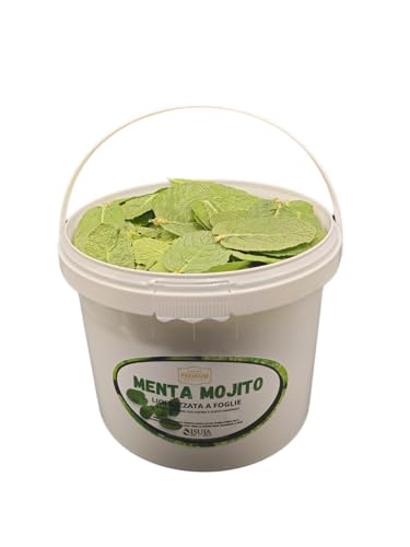 Menta Mojito liofilizada en hojas enteras,lista para usar en cócteles y platos innovadores,conservando el 98% del sabor,color y aroma de la menta fresca,100% MENTA HIERBABUENA. 3L