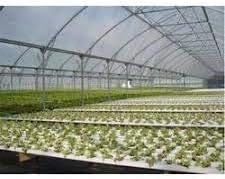 DEWAN SONS Imported Transparent Poly Plastic Roll 550-GSM Greenhouse Multilayer UV Treated Dust-Proof Waterproof Sheet (White, 40 x 25 ft)