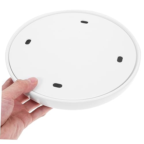 Plato redondo para servir sushi y sashimi miniatura 7