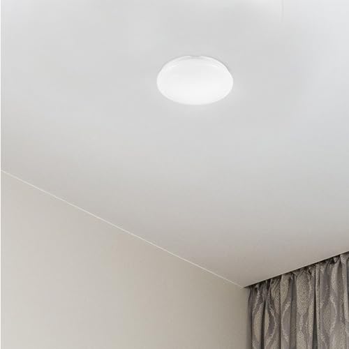 Image of Generic 2pcs Ceiling Light Shade Replacement Easy Twistlock Install for Bedrooms Balconies Kitchens Bathrooms