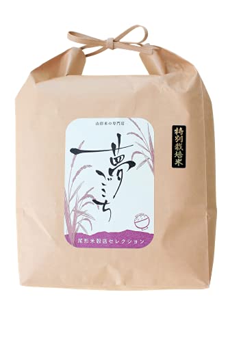 V  āEH͊ӒRN[ 2022N܎ R`zs ܂_Y ʍ͔| ߘa7NY `čXZNV 3kg