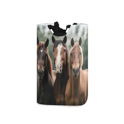 Jihqo Laundry Hamper Basket Three Horses Collapsible Nursery Storage Bin Waterproof Clothing Baskets for Home Bedroom Bathroom Washing Room