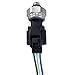 FainWan Air Conditioner AC Pressure Sensor Switch with Connector Wiring Harness Compatible with 350Z 370Z Altima Pathfinder Frontier Maxima Cube Rogue Sentra Versa Xterra FX35 G35 G37 M45