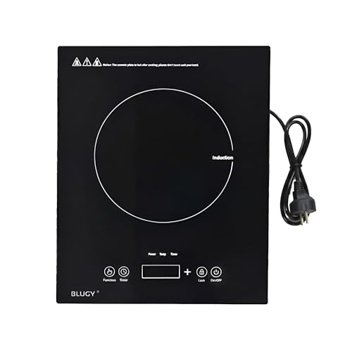 Blugy Placa de Inducción Portátil 1300 W con Control Táctil y Temporizador, Cristal de Alta Resistencia, para Autocaravana, Camper, Vanlife, Fácil Limpieza