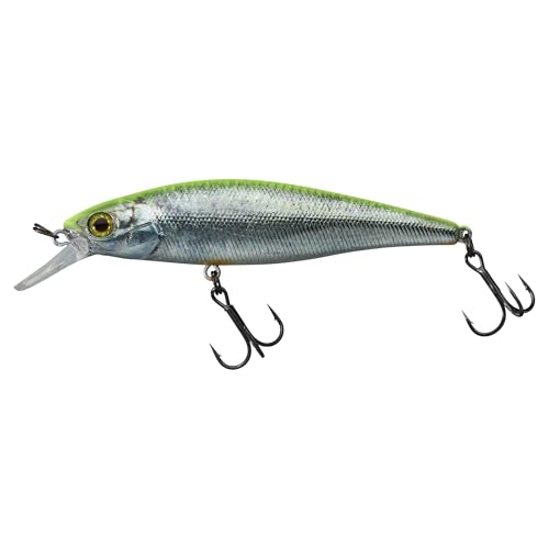 Squad Minnow 95 SP Illex leurre brochet perche poisson nageur RT Visible Roach 14g