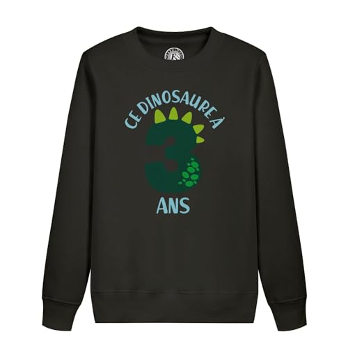 Sweatshirt enfant 3 ans dinosaure confortable et chaud contre le froid