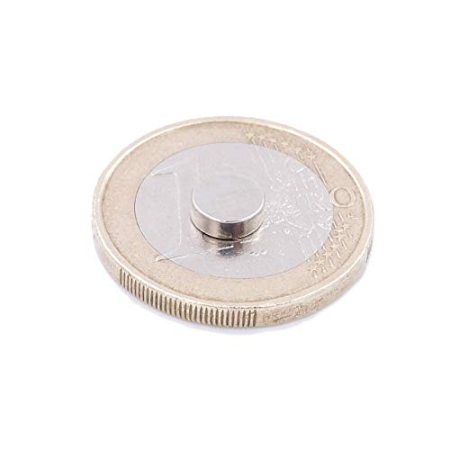 Brudazon | 10 Mini Magneti Dischi da 6x2mm | Grado...