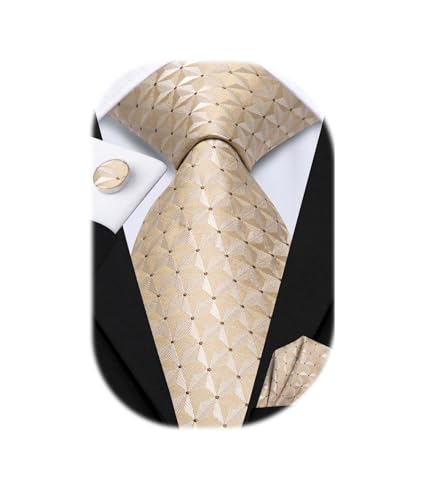 Image of Hi-Tie Men 63inches Tie Set Extra Long Necktie Paisley Tie Pocket Suqare Cufflinks Big and Tall Men Tie