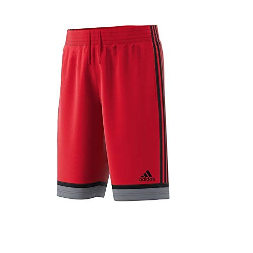 adidas Basic Short 1