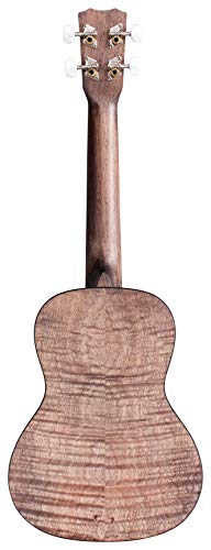 Image of Cordoba 15CFM Granite Grey Flamed Mahogany Concert Ukulele