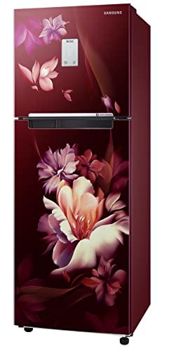 Image of Samsung 244L 2 Star Frost-Free Double Door Refrigerator Appliance (RT28B3522RZ /HL, Midnight Blossom Red, Curd Maestro, 2022 Model)