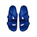 FOCO MLB Team Logo Double Buckle Comfortable Slip-On Women's Sandals, Los Angeles Dodgers, X-Large