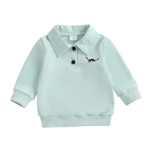 luethbiezx Toddler Baby Boys Long Sleeve Shirt Lapel Collar Dinosaur Embroidery Button Down Pullover Sweatshirt Top