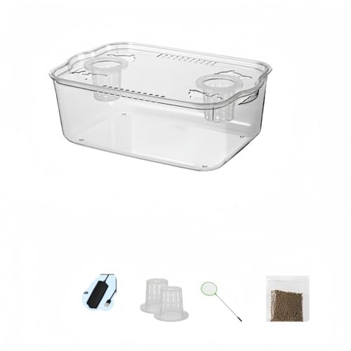 HOTGEEJP  ANAE ANAE CeA  vX`bN ϗtA e퐅| e  CeA ԕr (pbP[W1,傫)