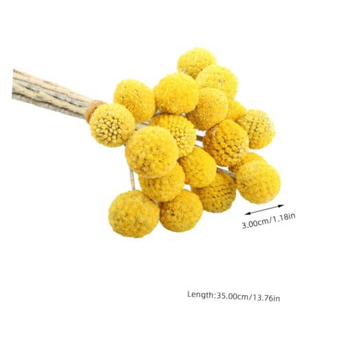 BESPORTBLE 30 tallos flores secas decorativas amarillas miniatura 2