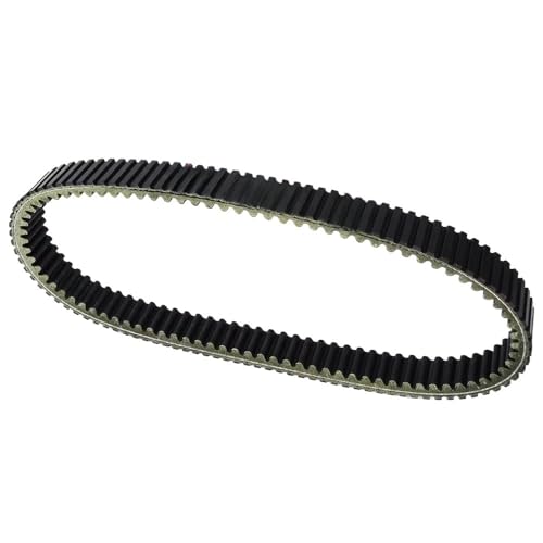 Courroie Speed Belt ZHANGTONG pour rouler en Tomcar TM2 TM4 sur pistes et chemins