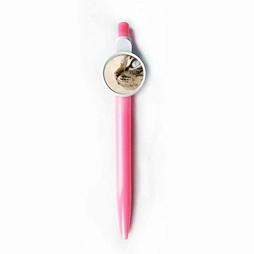 Stylo à bille rétractable chaton gris pour gauchers et droitiers cherchant confort d'écriture