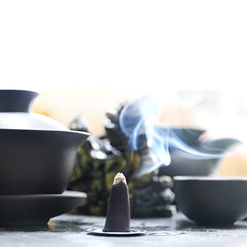 Incense Cones Gift Pack Set Sticks Total,Red Rose,Super Sandal,Patchouli,White Musk,Meditation,Lavender (6)