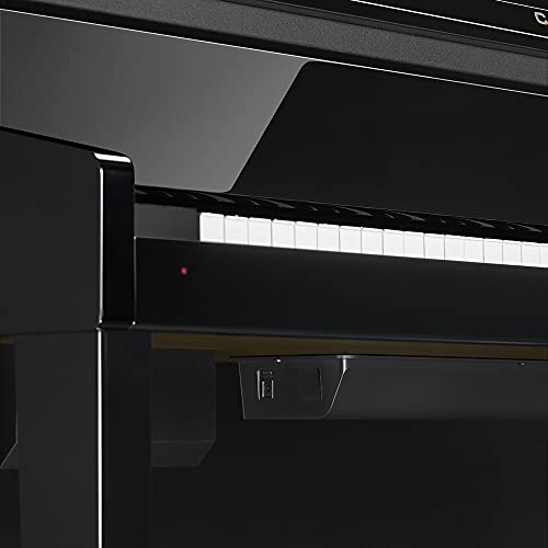 GP-510 BP Celviano Grand Hybrid Black - Les Beatles, Paul McCartney, John Lennon, RIngo Starr, George Harrison GP-510 BP Celviano Grand Hybrid Black – Image 8