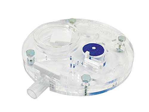 Anthillshop.es Hormiguero de Colores 10x10 Redondo (Hormigas Incluidas) (Transparente) Cover