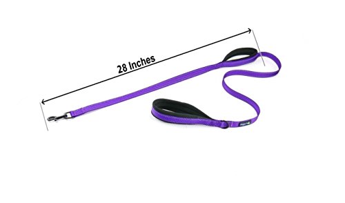 Waggin Tails Soft & Thick 5Ft Double Handle Leash With Neoprene Padded Handle For Small To Medium Dog (Vibrant Purple) #TOP4