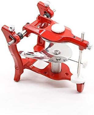 Articolatore in Gesso Regolabile per Bocca Piena Dentale per Odontotecnico Mascella Congiunta Modello di cavità Orale Articolatore Anatomico Strumenti di Laboratorio Dentale,Sensational421