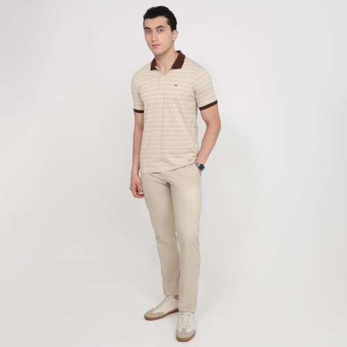 Image of Park Avenue Men Slim Fit Stripe Pattern Pure Cotton Polo Neck Half Sleeve Casual T-Shirt