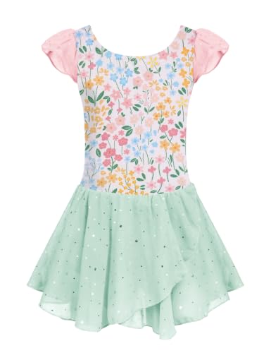 Image of Arshiner Girls Ruffle Sleeve Ballet Dance Dress Tutu Skirted Leotard