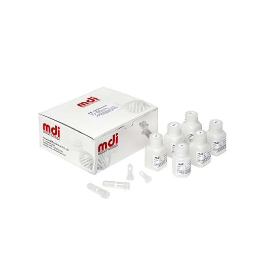 Plasmid DNA Miniprep kit, 50 Columns