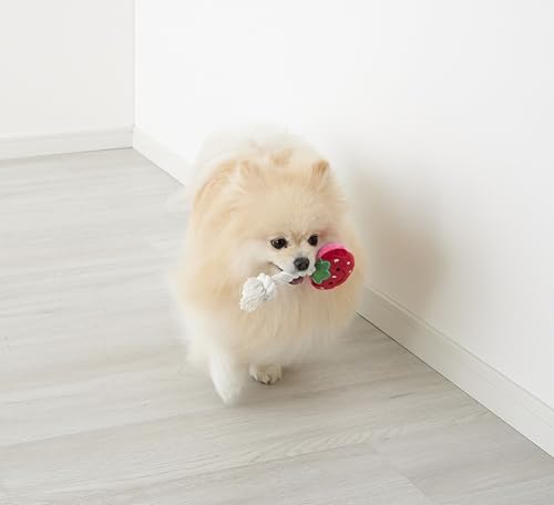NAKAMA Juguete Mordible Hamigaki Apple Para Perros Pequeños miniatura 2