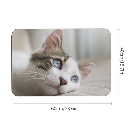 Tapis de bain terre de diatomée séchage rapide facile à nettoyer - 3
