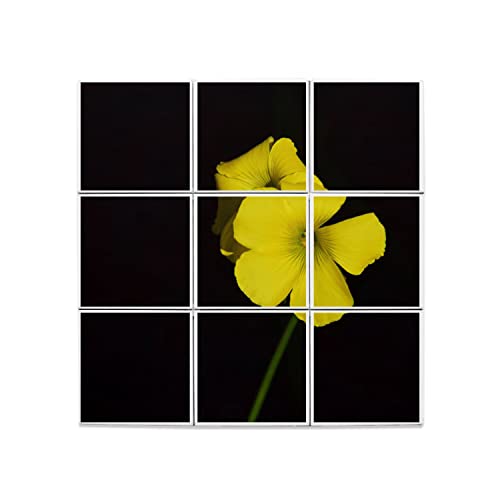 Carreaux céramique d'ornement floral noir et or 60x60 cm pour crédence de cuisine