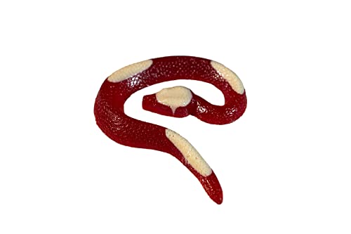 The Gummy Bear Guy Gummy King Snake 2.5 pies miniatura 1