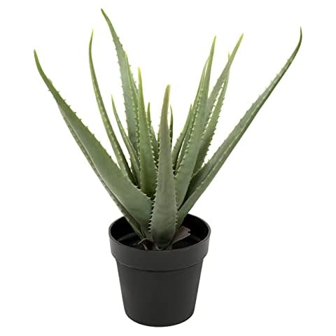 GreenBrokers Lifelike Artificial Aloe Vera Plant Cover