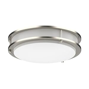 DYMOND LED Ceiling Light Fixture Flush Mount 4000K Natural Daylight Dimmable Surface Mount Brushed Nickel Ceiling Lamp for Kitchen, Hallway, Bathroom, Bedroom, Closet (14 Inch)